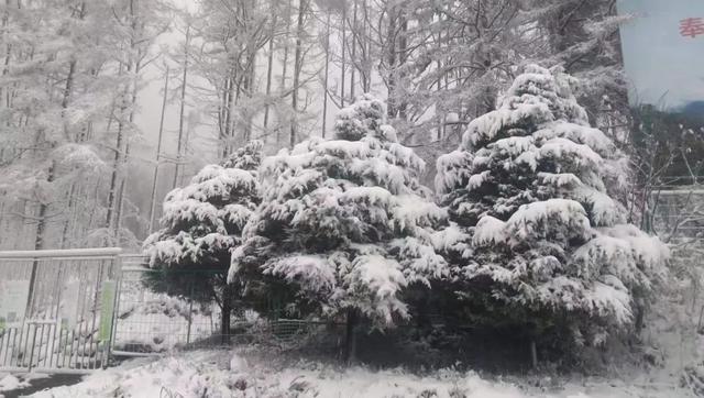 专家解读陕西多地异常降雪