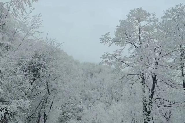陕西多地下雪了！厚达15厘米！立夏后又穿上秋裤正常吗？专家回应