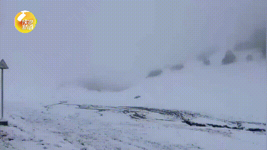 陕西多地下雪了！厚达15厘米！立夏后又穿上秋裤正常吗？专家回应