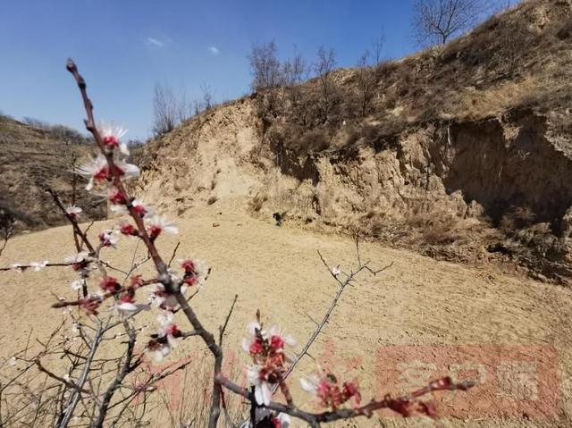 寻得英烈归故里，抗日英雄赵崇德遗骨返乡记