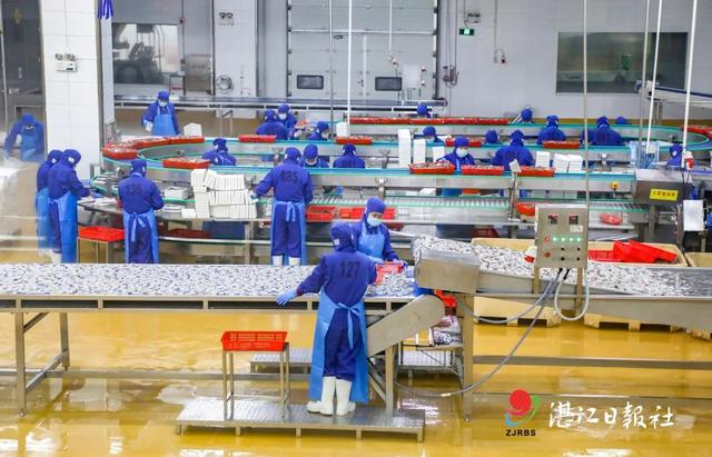绿色食品创业计划书，湛江未来五年怎么干省党代会报告划重点