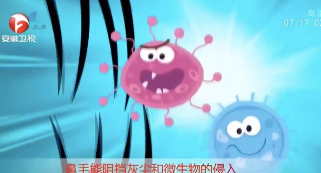 为什么不能挖鼻孔？挖鼻孔会带来3个不良后果