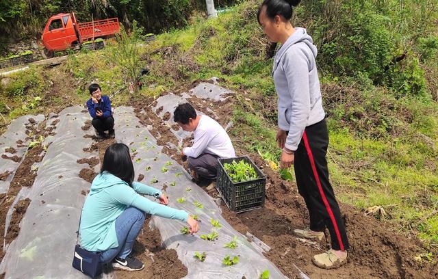 院园艺所蔬菜团队赴修文县开展蔬菜新品种种植培训