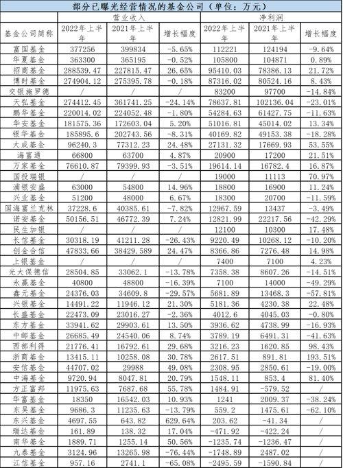 基金净利润排名「基金公司收益率排行榜」