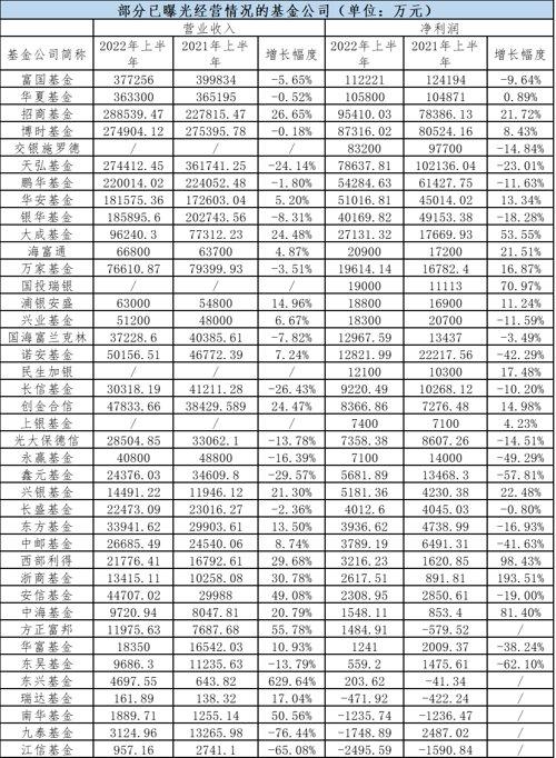 基金净利润排名「基金公司收益率排行榜」