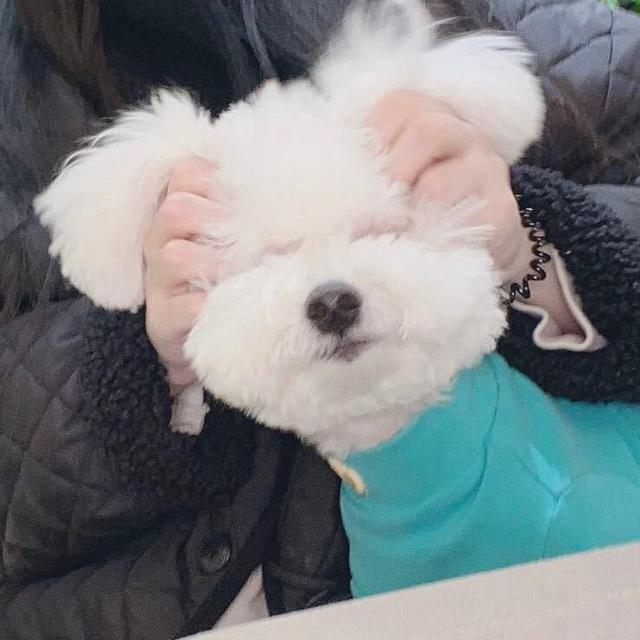 从什么时候你才感觉自己很孤独