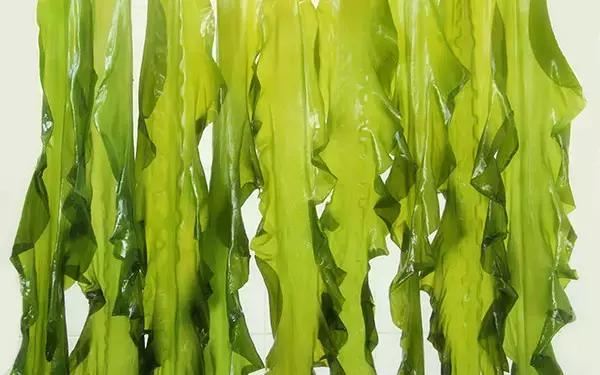 板栗是发物吗，板栗是发物吗发炎了能吃吗（“发物”到底是什么食物）