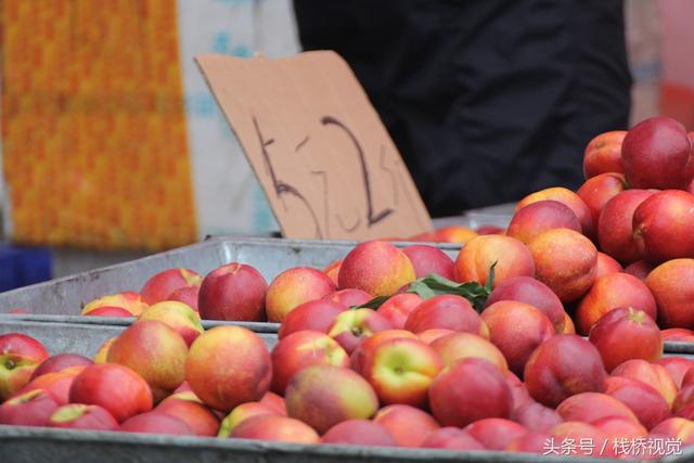 桃驳李是油桃吗,桃布李是油桃吗(长得像李子又像桃不过浑身油滑没有毛) 桃驳李是油桃吗,桃布李是油桃吗(长得像李子又像桃不过浑身油滑没有毛)