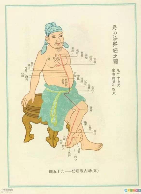 脚背经络图解大图，脚背的部位高清图解（按摩艾灸、拔罐刮痧都用得到）