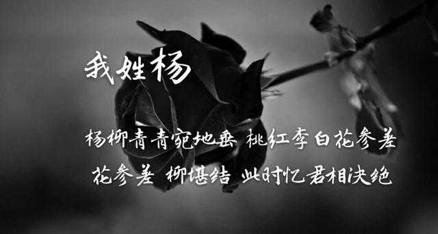 姓氏专属情话句子，姓氏的爱情句子（都有一句情话<暖心系大全>）