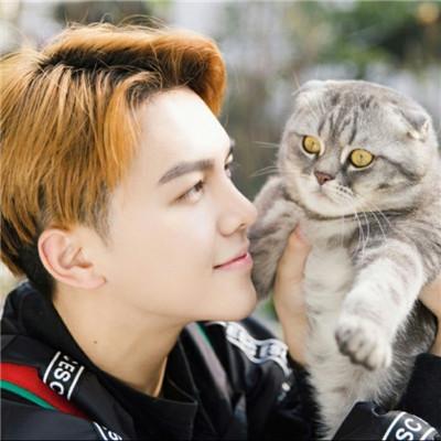 用猫做头像的男生，带猫咪的男生头像微信（男生抱猫头像高清图片2018）