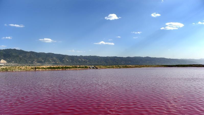 运城盐湖可同闻名于世的以色列死海相媲美,湖中的黑泥蕴含七种常梁屯