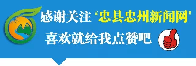 重庆忠县招聘信息网（忠县人民法院公开招聘4名书记员助理）