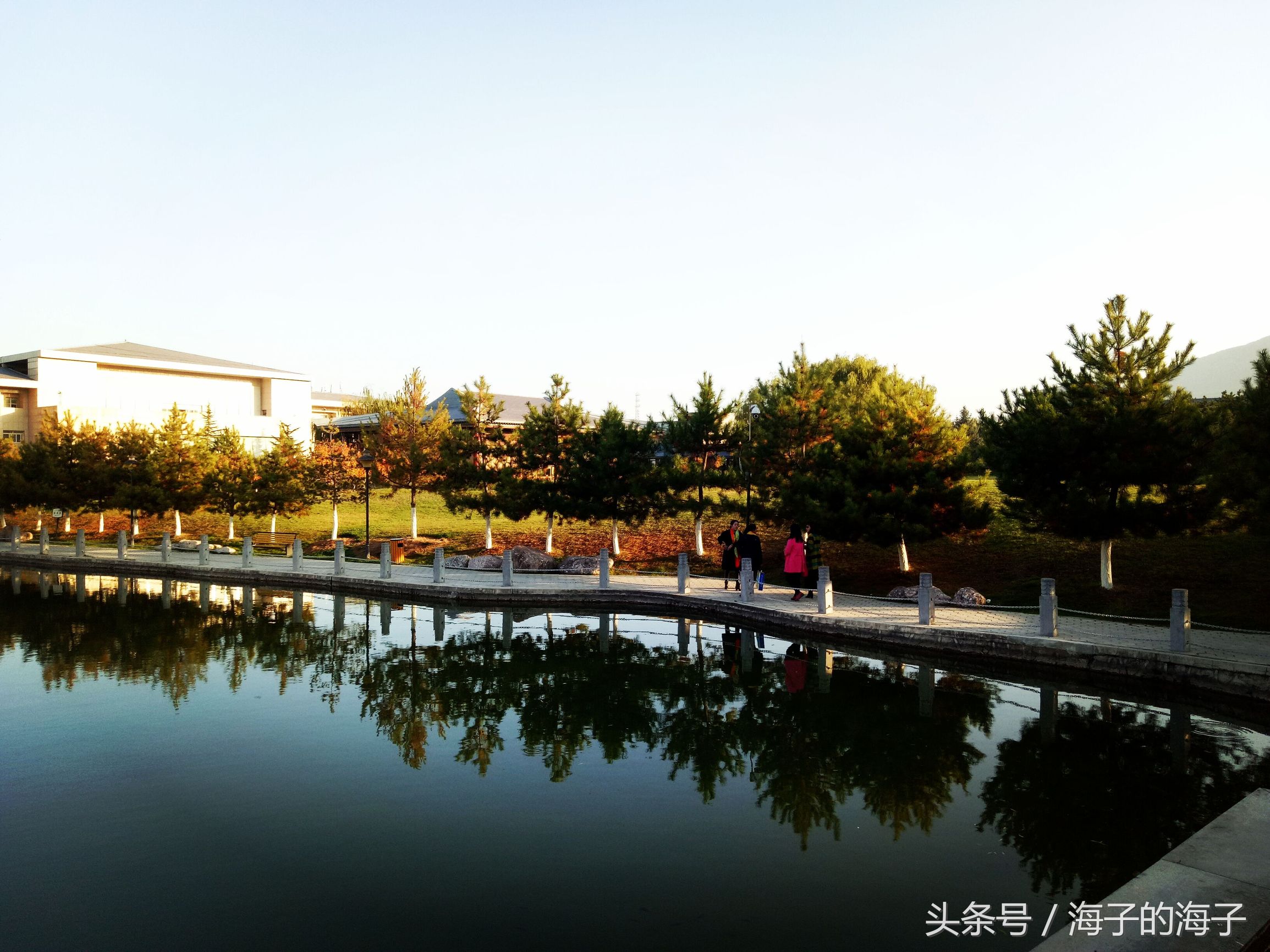 《崆峒秋来风景异，南归雁去无留意》崆峒秋景之《 相思子》