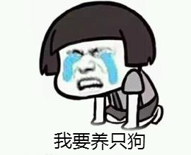 星座与狗之间不得不说的秘密！