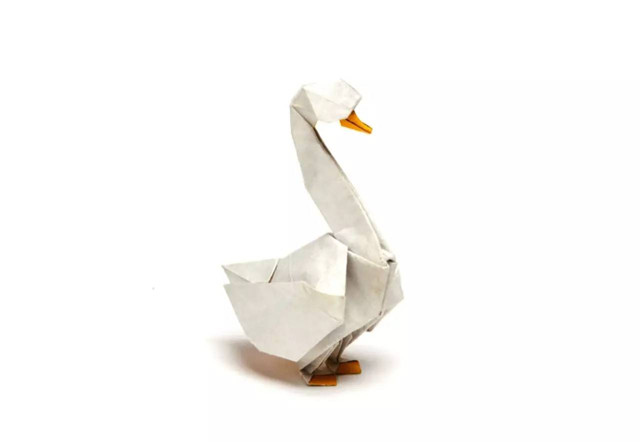 教你折只大白鹅