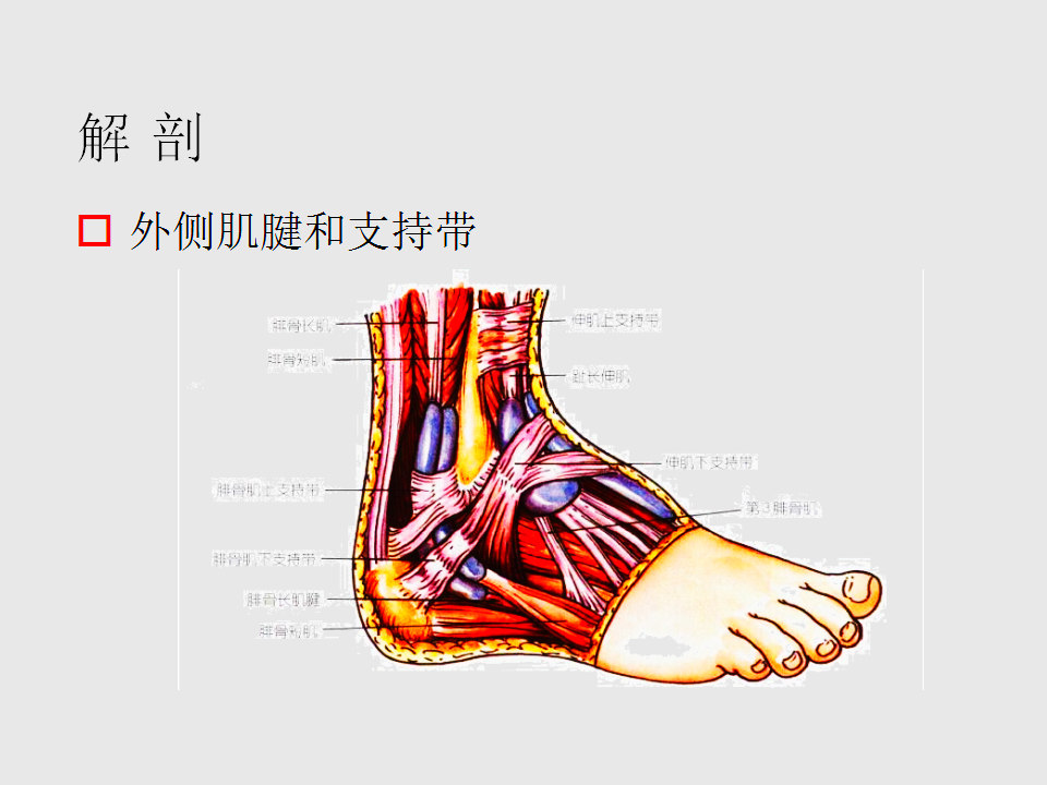 脚崴了怎么办？
