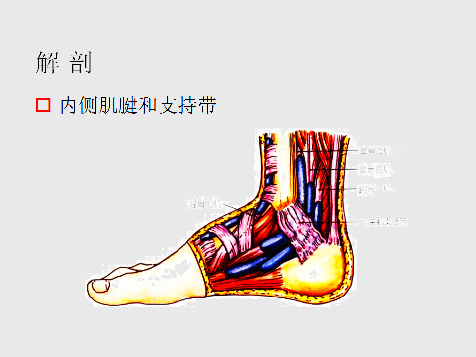 脚崴了怎么办？