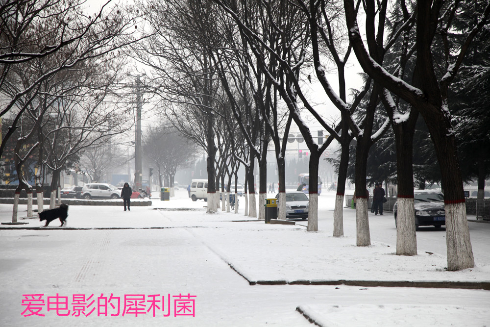 你那边下雪了么？非常应景的雪天优美句子