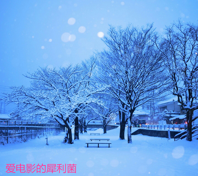 你那边下雪了么？非常应景的雪天优美句子