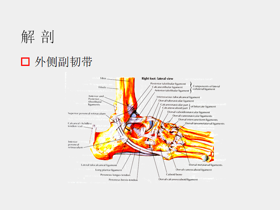 脚崴了怎么办？