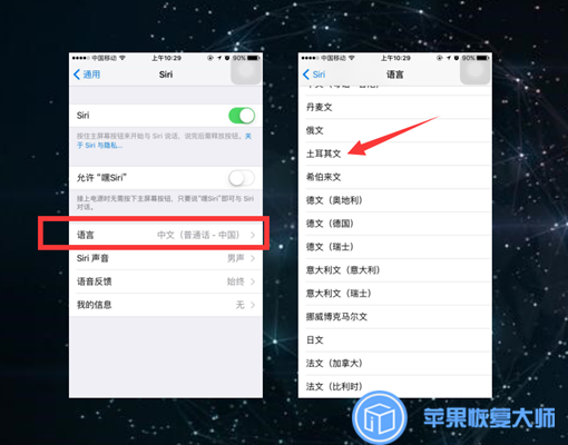 实用！在iPhone上如何同时关闭语音控制和Siri