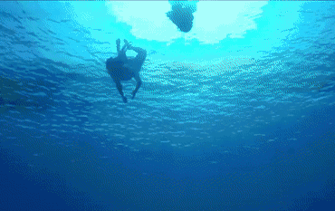 《蓝色大海的传说》告诉我们，这些地方有美人鱼出没