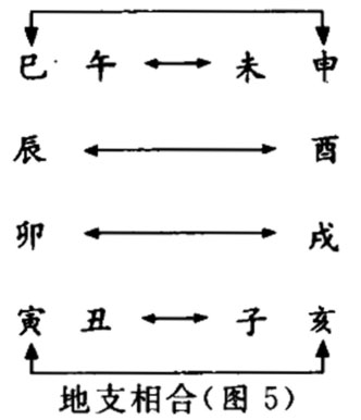 天干有五合,十二地支也有各种合,主要有以下几种:六合,三合,三会,暗合