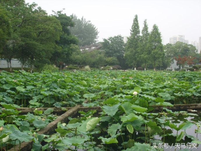 莫愁湖，一个凄美的传说（图）