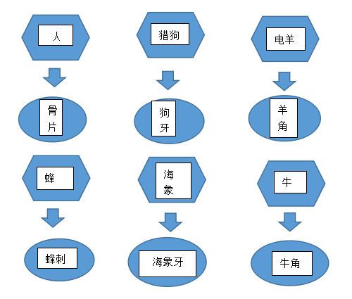 饥荒：联机版骨与角系列合集 骨片及狗牙等用途
