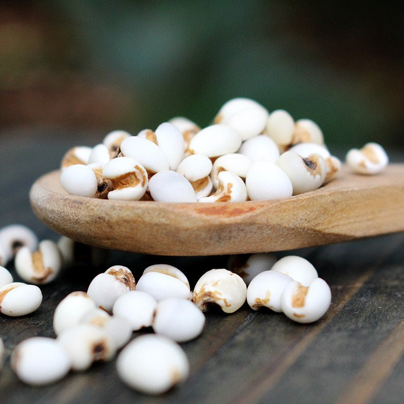 五谷杂粮——薏米