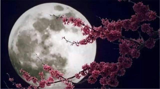 15夜望月的诗意简短 十五夜望月 古诗诗意简短 齐齐哈尔诗词网
