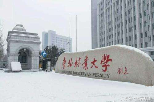 黑龙江12所省部共建高校，并不是只有哈工大和哈工程！