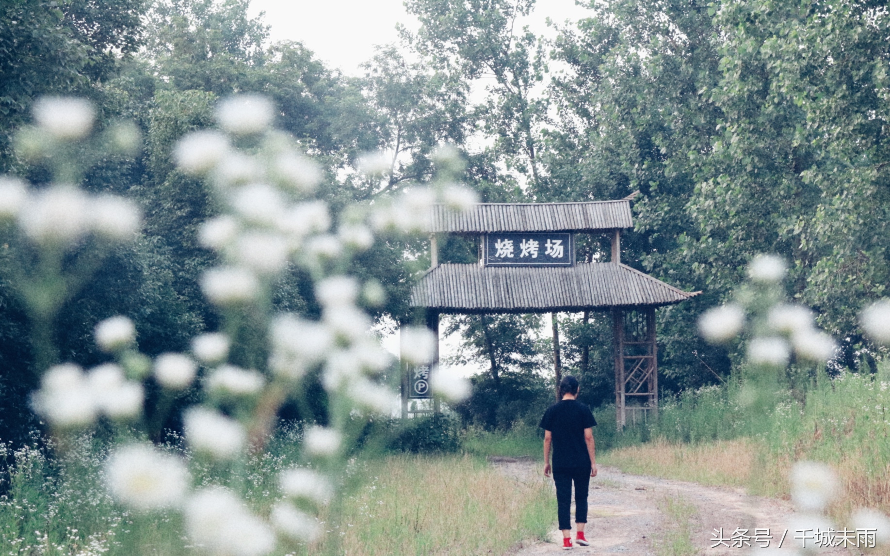 从少年的角度解读，这首赠予木心的《借我》。