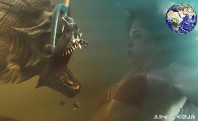 食人魚天敵,