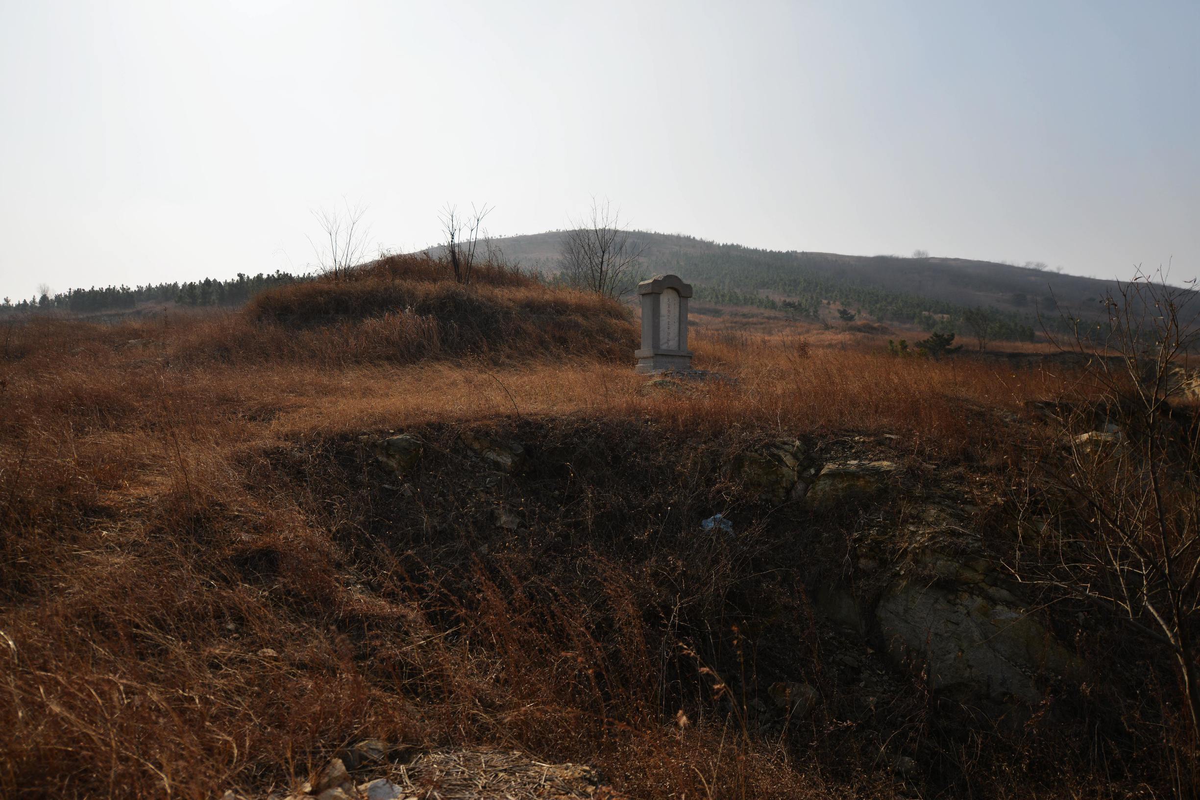 钟子期墓是怎么发现的