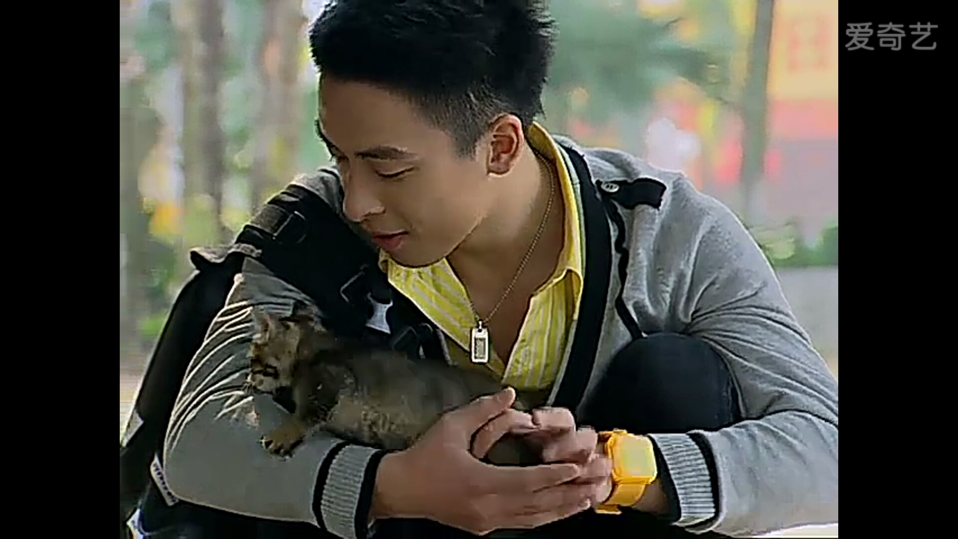 《爆丸小子》|超详细主角盘点,还记得你最喜欢谁吗?