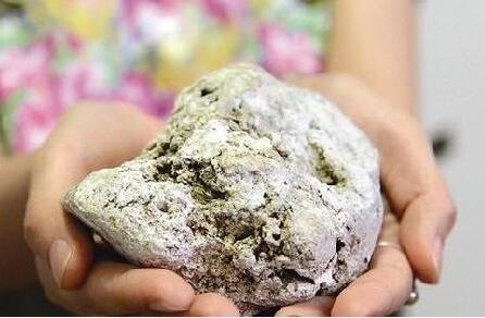 龙涎香的功效作用及其禁忌