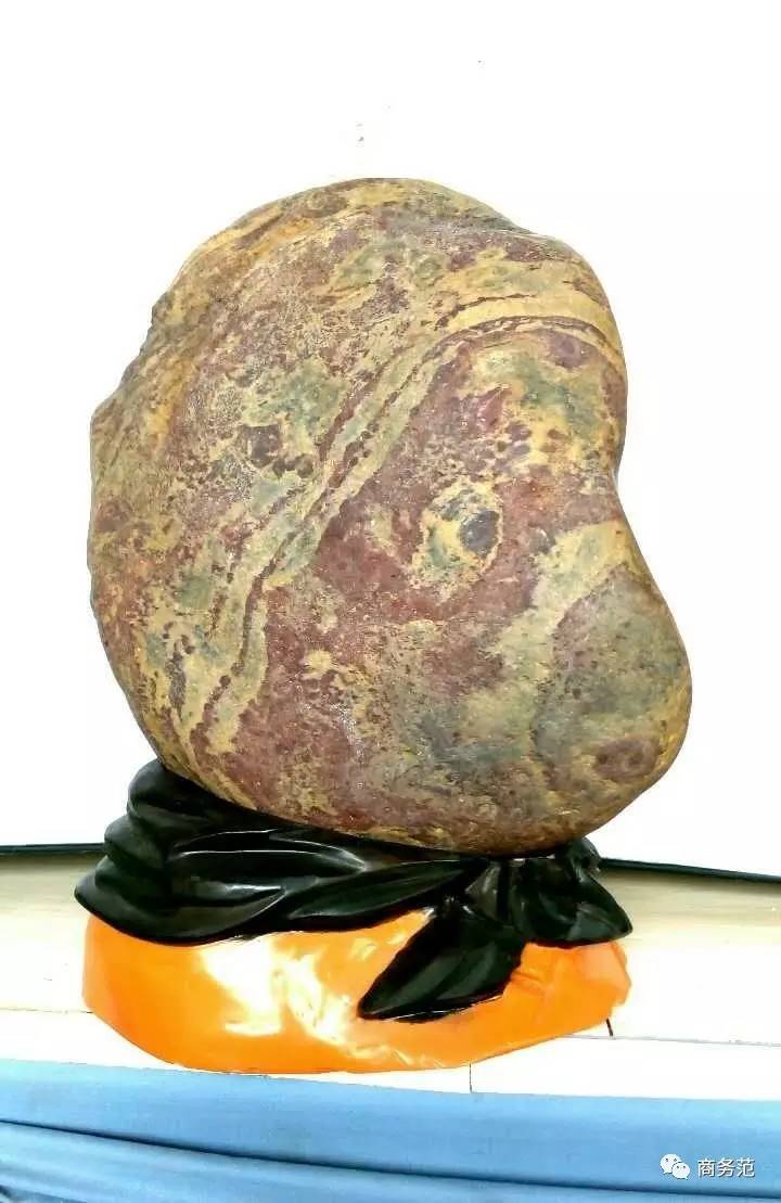 在春节爸爸妈妈送给我很多礼物（妈妈送了我一份特别的礼物）
