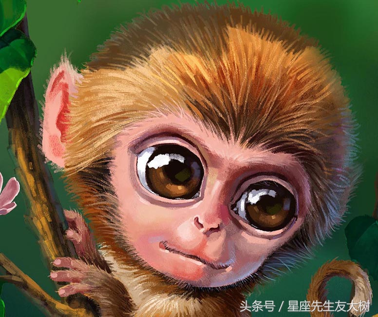 71帅气男孩是指什么生肖帅气男孩打一个生肖动物2022年普洱市地生肖