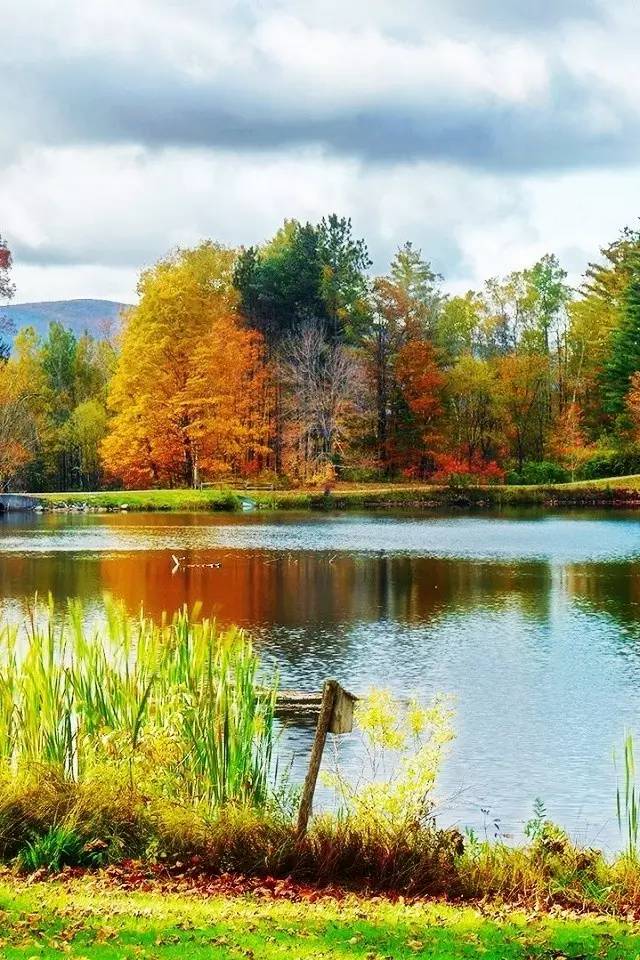 优美田园诗经典诗句田园风光唯美的诗