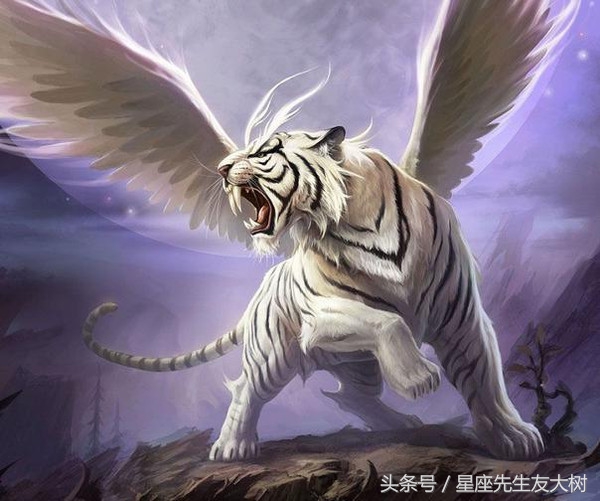 71帅气男孩是指什么生肖帅气男孩打一个生肖动物2022年普洱市地生肖
