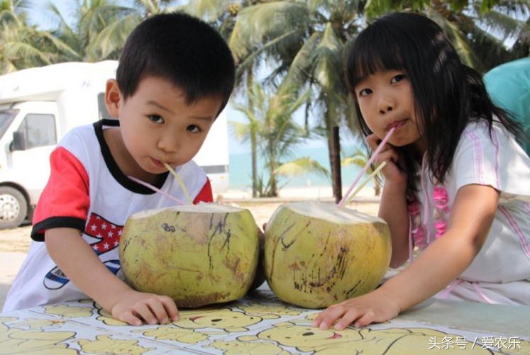 椰子好吃但难开，海南农村人开椰子的方法