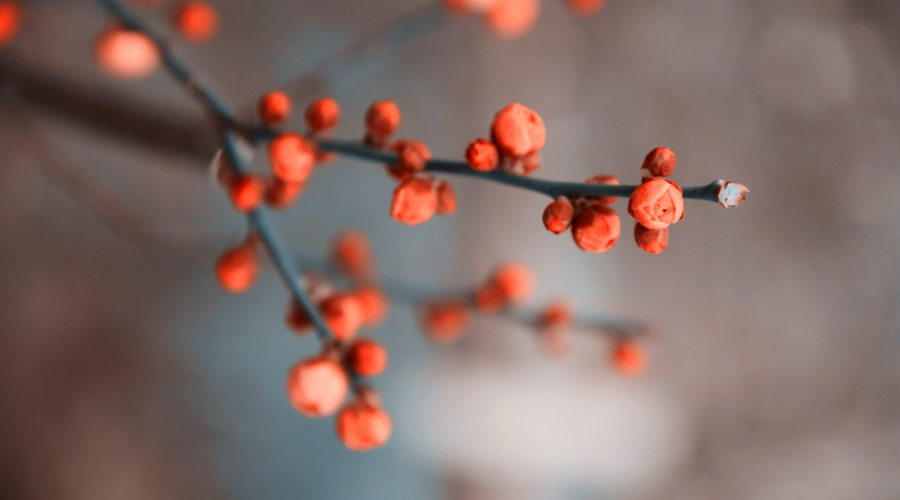 高考快讯：江西2017艺术专业实行省统考 陕西考生可高考补报