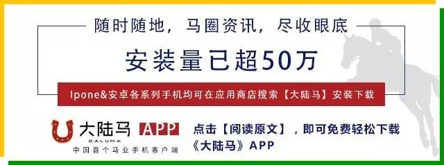 学马术多久可以参加奥运会(学马术多大年纪合适？这三位超过60岁的里约奥运骑手告诉你)