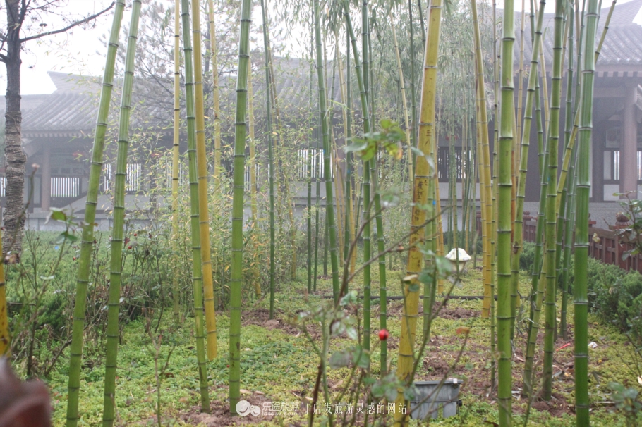 祈福圣地 法门寺的钟声