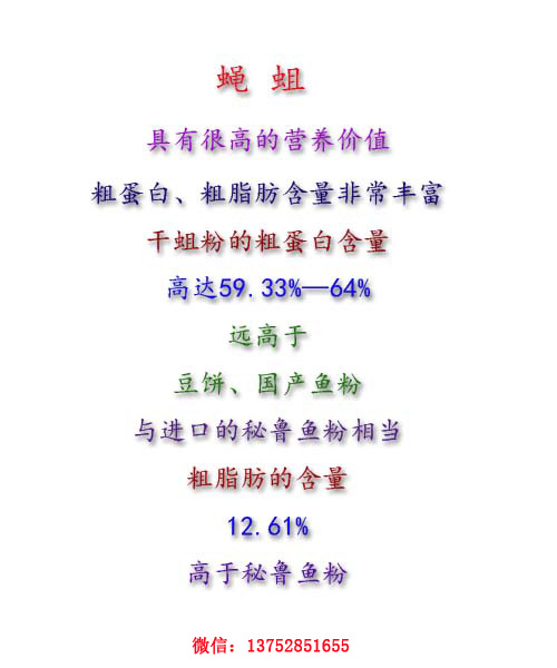 全而细的蝇蛆养殖技术视频教材