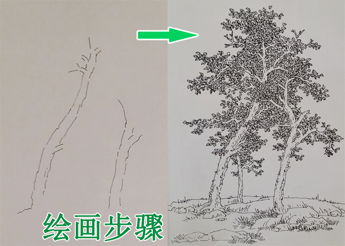 “树”的绘画技巧，树木之间的“穿插”遮挡，草地上的青草与泥土