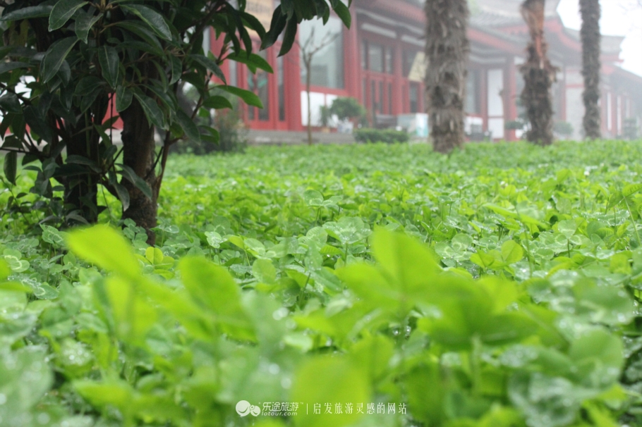 祈福圣地 法门寺的钟声