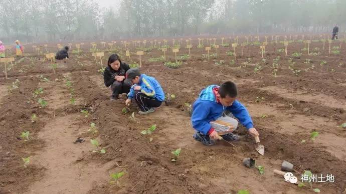 为什么艺术特长高考可加分，种地不可以